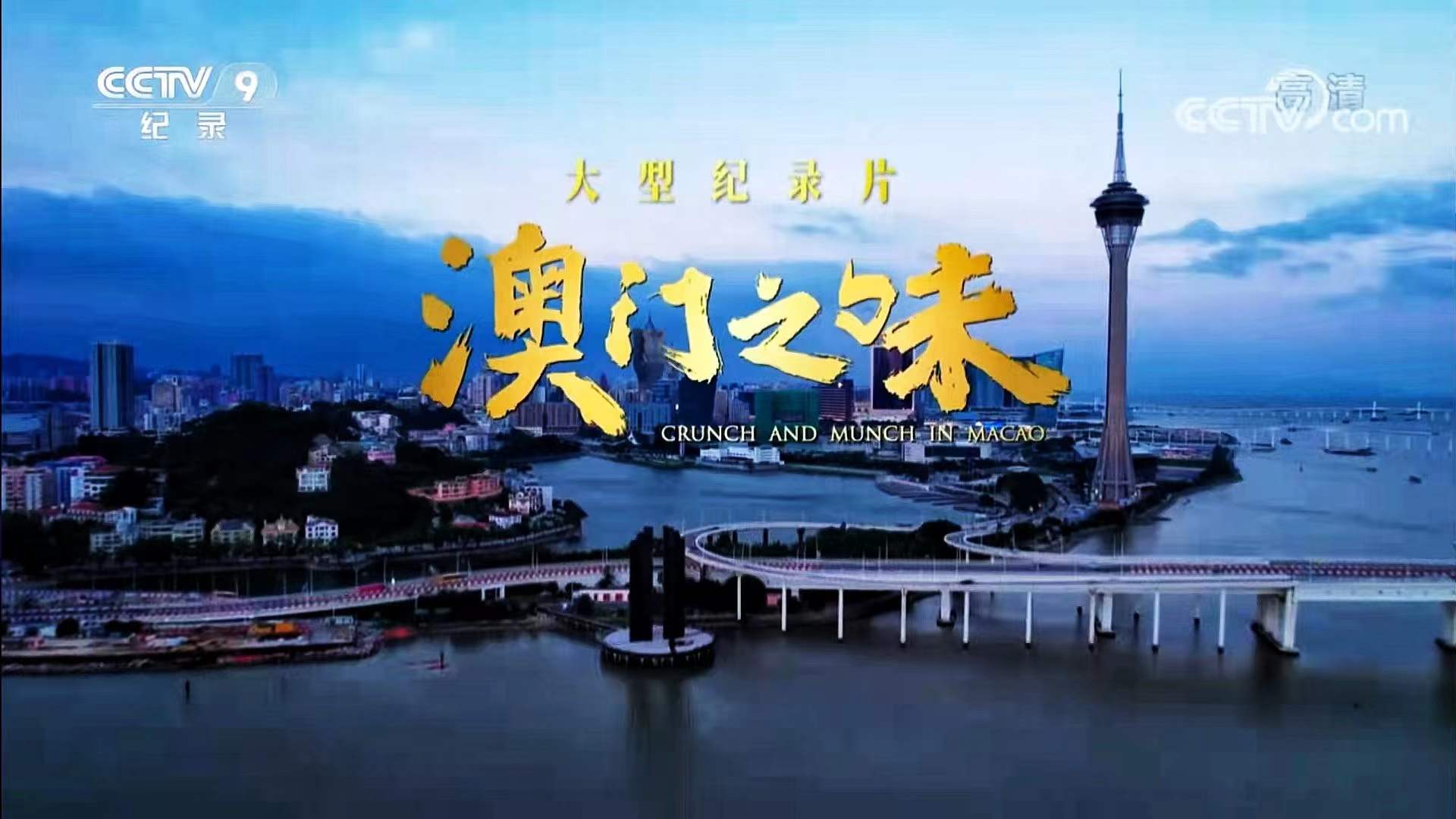 澳門在線視頻，探索與沉浸體驗(yàn)