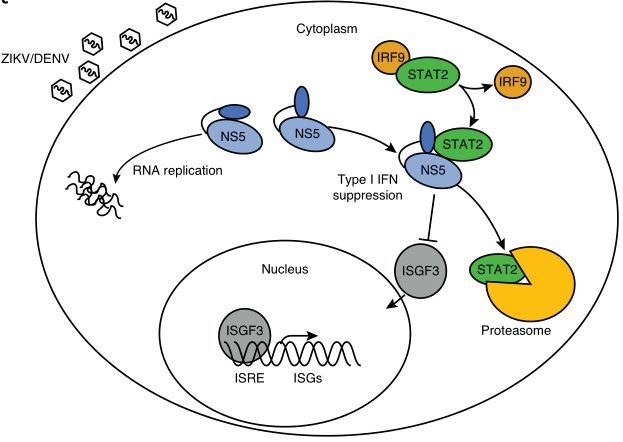 生物學(xué)最新進(jìn)展重塑生命科學(xué)的認(rèn)知邊界