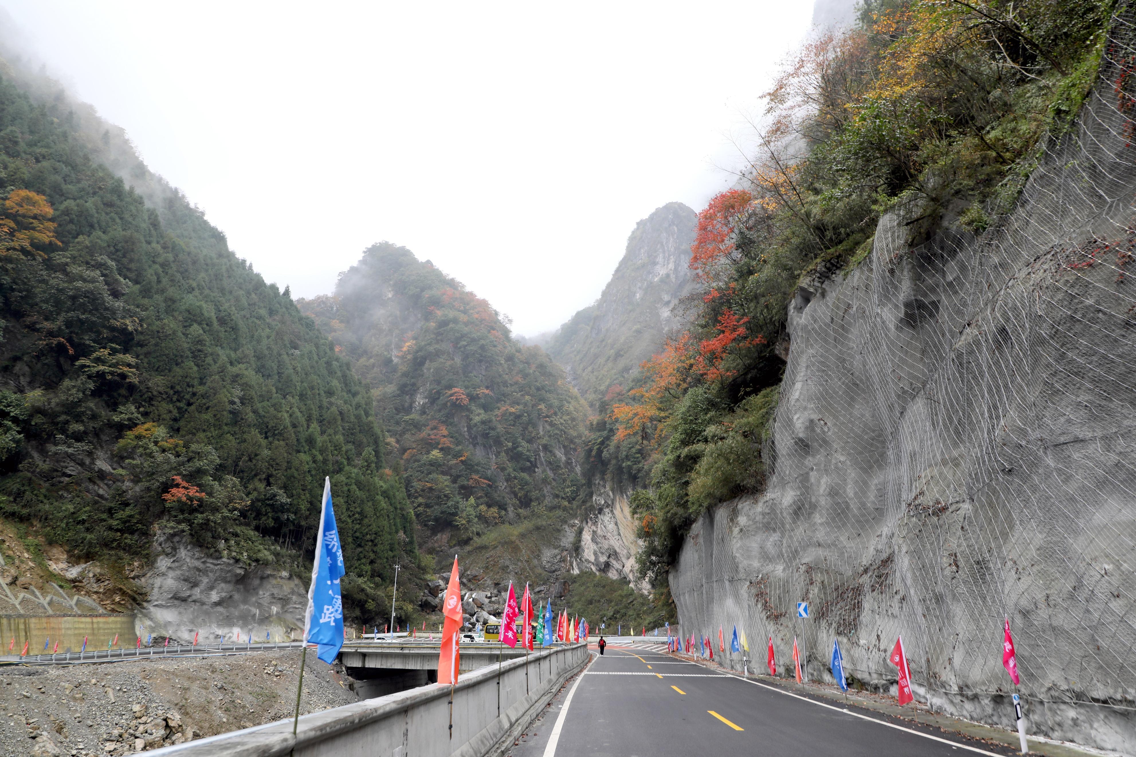 綿茂公路最新線路圖詳解