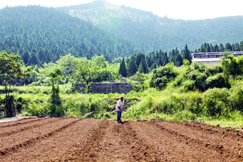 農(nóng)村荒山承包新政策，推動(dòng)綠色發(fā)展的強(qiáng)大動(dòng)力源泉