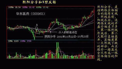 2024澳門特馬今晚開什么,以下是一個(gè)澳門特馬預(yù)測(cè)的案例分析：