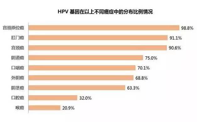 2024香港歷史開獎(jiǎng)記錄,避免過度投入和盲目跟風(fēng)