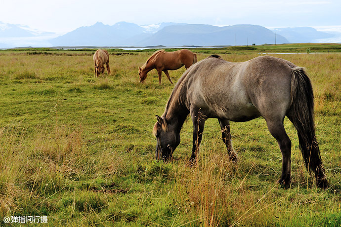 2024澳門特馬今晚開(kāi)獎(jiǎng)一,澳門特馬的開(kāi)獎(jiǎng)成為了賽馬愛(ài)好者和博彩迷關(guān)注的焦點(diǎn)