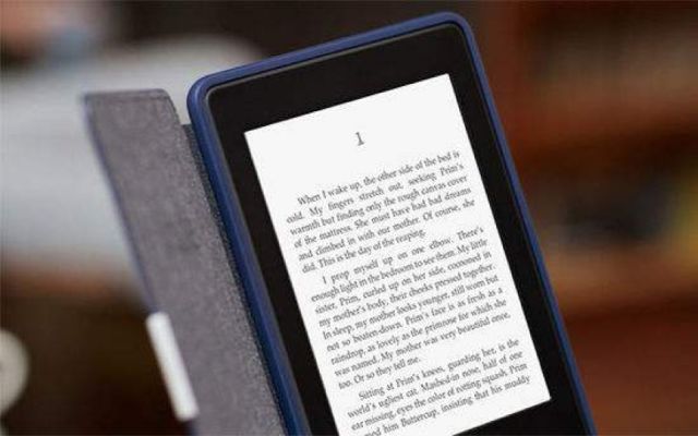 2024新奧免費資料,實地分析數(shù)據(jù)設計_Kindle68.104