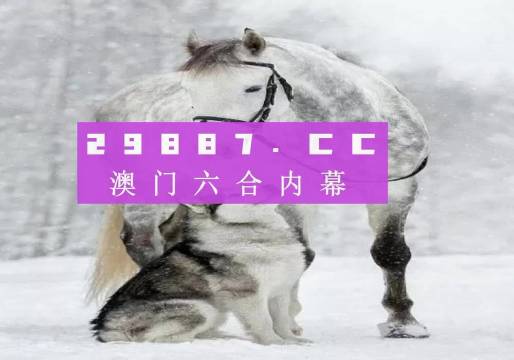 777778888精準(zhǔn)跑狗,廣泛的解釋落實(shí)方法分析_試用版29.558