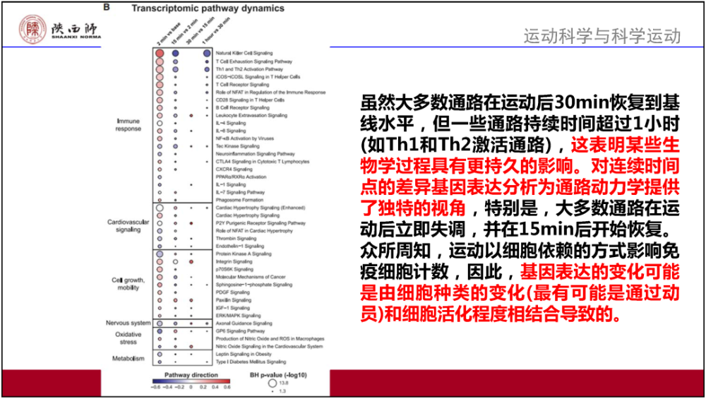 2024新奧正版資料大全,效率資料解釋定義_影像版81.476