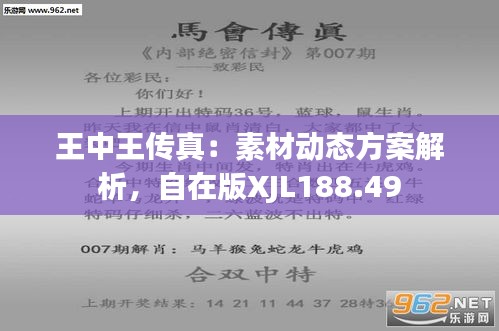 7777788888王中王厷機(jī),全局性策略實(shí)施協(xié)調(diào)_尊享版65.994