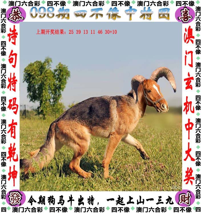 新澳2024今晚開(kāi)獎(jiǎng)資料四不像,廣泛的解釋落實(shí)支持計(jì)劃_HD17.391